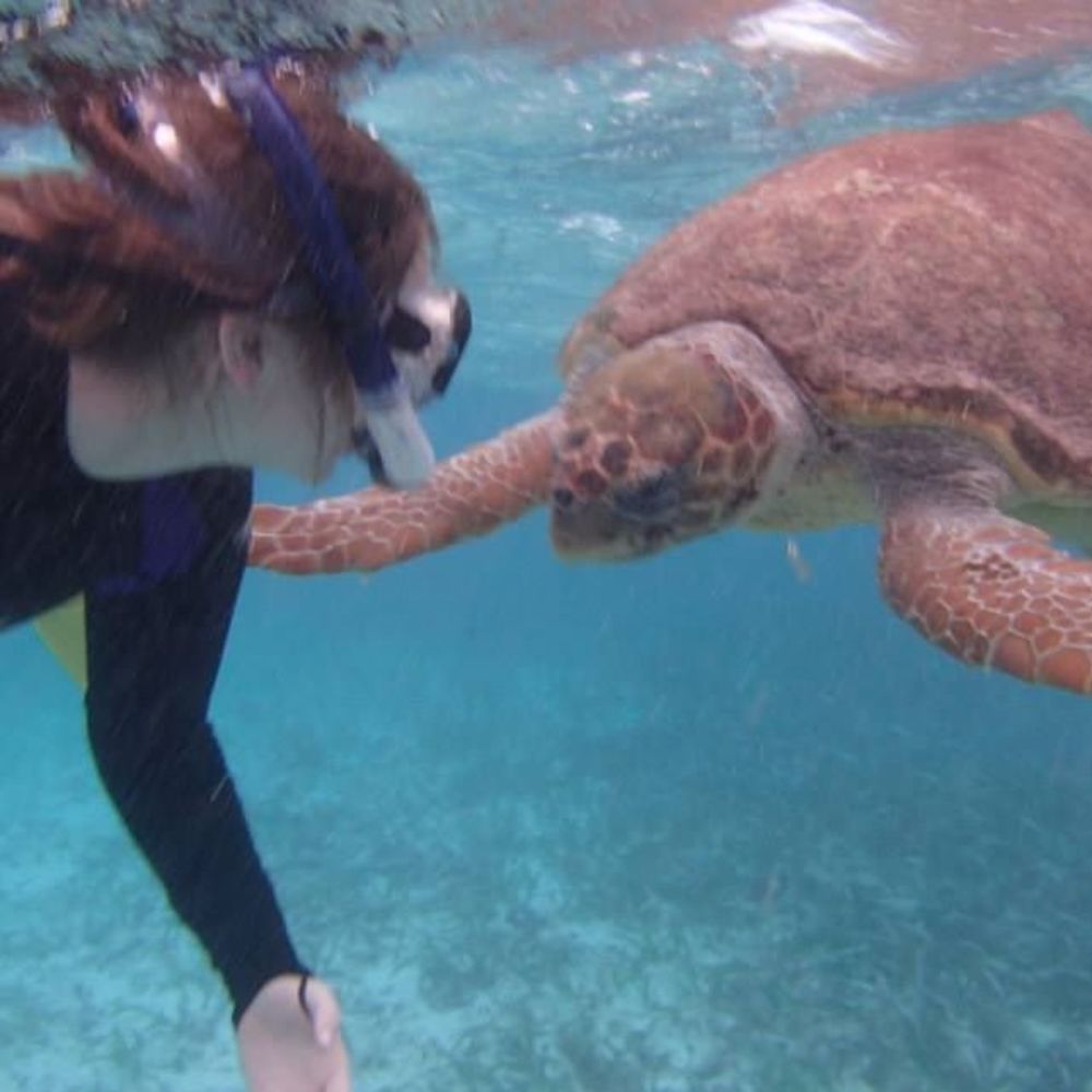 Meet your Posher, Michele